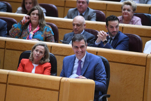 El presidente del Gobierno, Pedro Sánchez, durante un pleno del Senado, a 25 de abril de 2023, en Madrid (España).