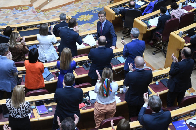 El presidente del Partido Popular, Alberto Núñez Feijóo, durante un pleno del Senado