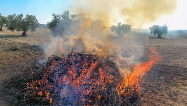 La Junta prolonga la prohibición de las quemas agrícolas para prevenir incendios forestales hasta el 15 de octubre.