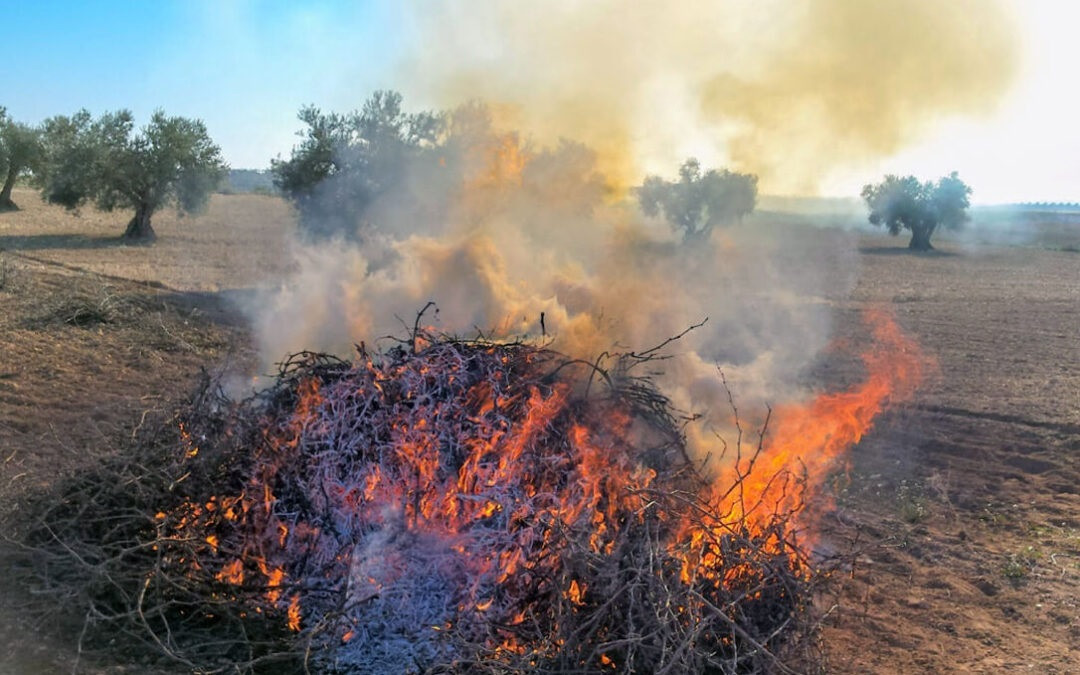 La Junta prolonga la prohibición de las quemas agrícolas para prevenir incendios forestales hasta el 15 de octubre.