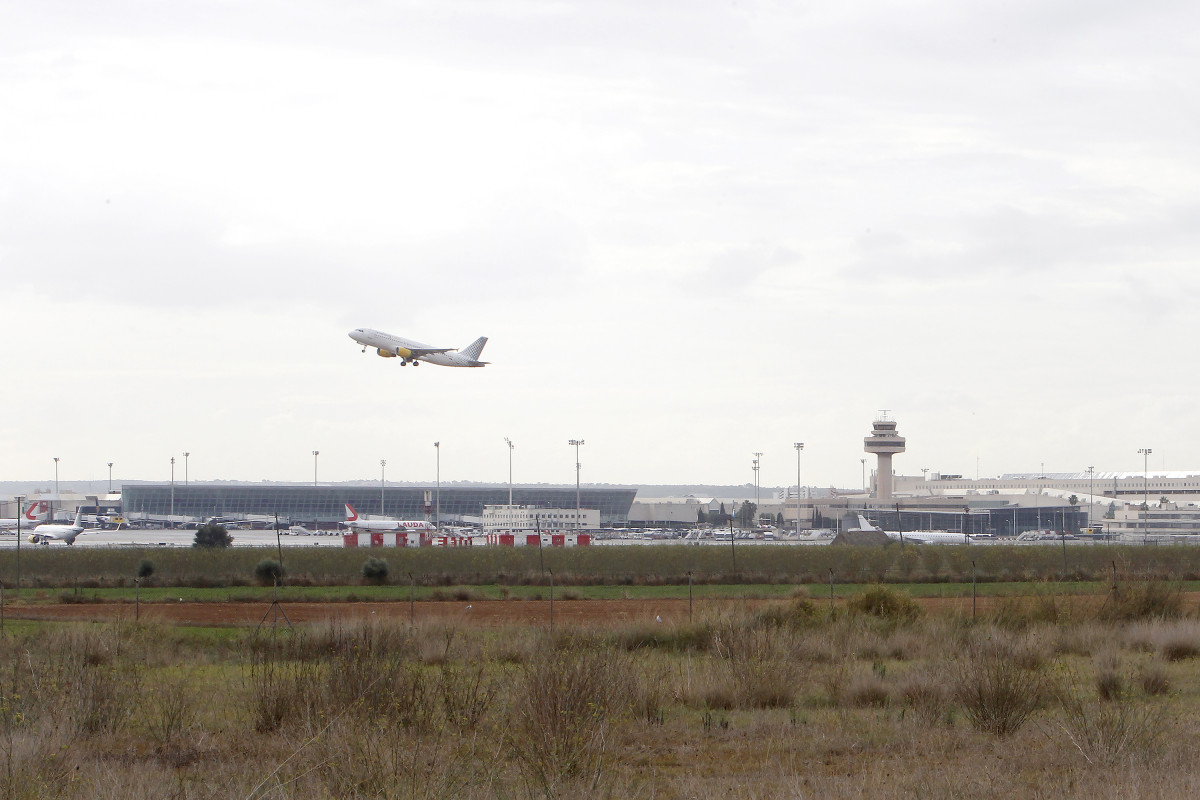 Archivo - Un avión despega en el aeropuerto de Palma, a 8 de noviembre de 2021, en Palma de Mallorca, Mallorca, Islas Baleares (España).
