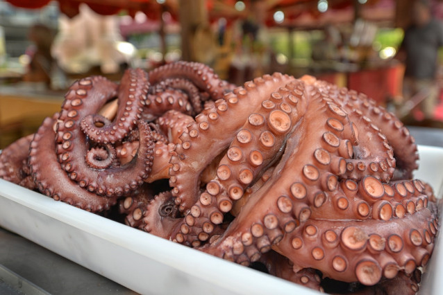 Archivo -    La veda de la captura de pulpo en Galicia comenzará a las 16,00 horas de este viernes, día 18 de mayo, y terminará a las 5,00 horas de lunes, 2 de julio, según ha especificado la Xunta en la resolución del plan experimental para la gestión de