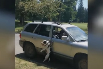 Catalunyapressgosviral