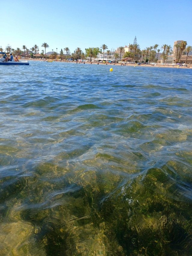 Archivo - Campa&ntilde;a de an&aacute;lisis de los niveles de ox&iacute;geno del Mar Menor