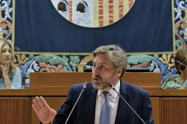 El portavoz de Chunta Aragonesista en las Cortes de Arag&oacute;n, Jos&eacute; Luis Soro, durante el pleno de investidura, en las Cortes de Arag&oacute;n.