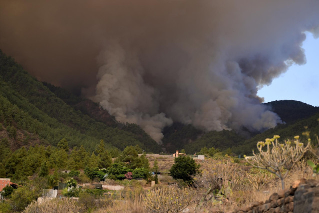 Humo provocado por un incendio forestal, a 16 de agosto de 2023, en Tenerife (Espa&ntilde;a). Anoche se declar&oacute; un incendio forestal en Tenerife entre las localidades de Candelaria y Arafo. Lo que ha obligado a evacuar los municipios de Arrate, Chivisaye, Media