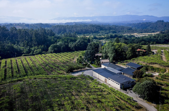 Archivo - Vista a&eacute;rea de las placas solares instaladas en Bodegas Fillaboa, en Salvaterra de Mi&ntilde;o (pontevedra)