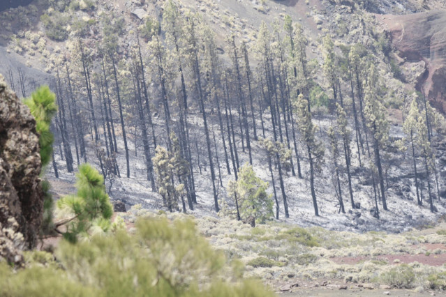 Vista desde el Observatorio de El Teide de la vegetaci&oacute;n afectada con motivo del incendio, a 24 de agosto de 2023, en Tenerife, Islas Canarias (Espa&ntilde;a)