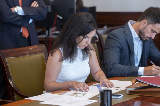 La nueva portavoz de Vox en el Congreso, Pepa Millán, presentando sus credenciales
