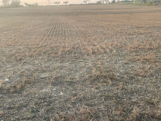 Unión de Uniones reclama a las administraciones que la subvención al seguro agrario llegue al 70% permitido por la UE.