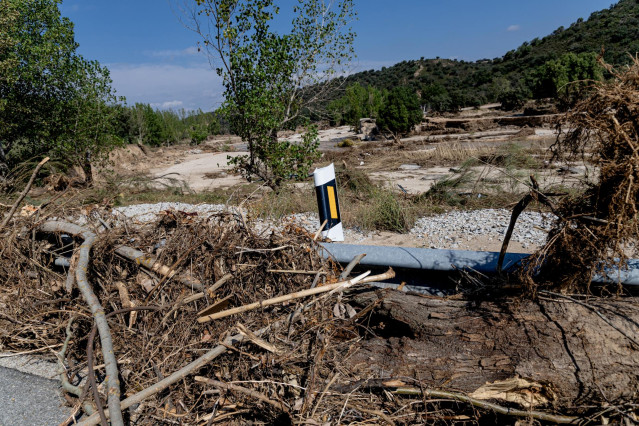 Vegetación afectada por la DANA, a 10 de septiembre de 2023, en Aldea del Fresno, Madrid (España).