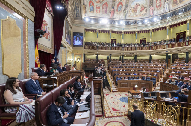 Archivo - Vista del hemiciclo durante la Sesión Constitutiva