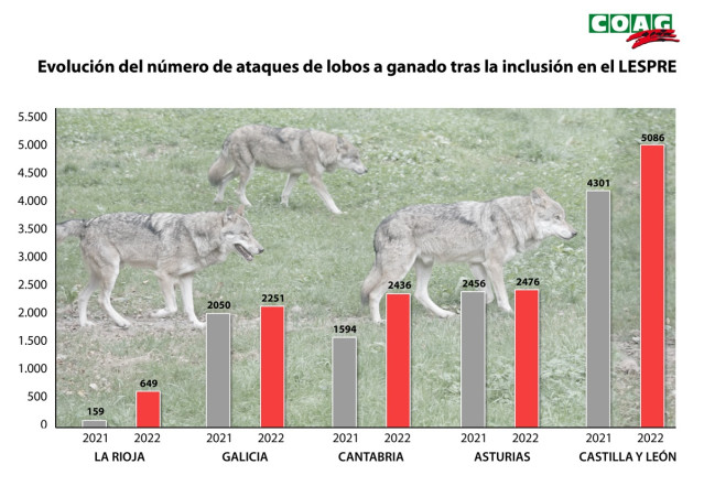 Gráfico comparativo de los ataques de lobos en un año.