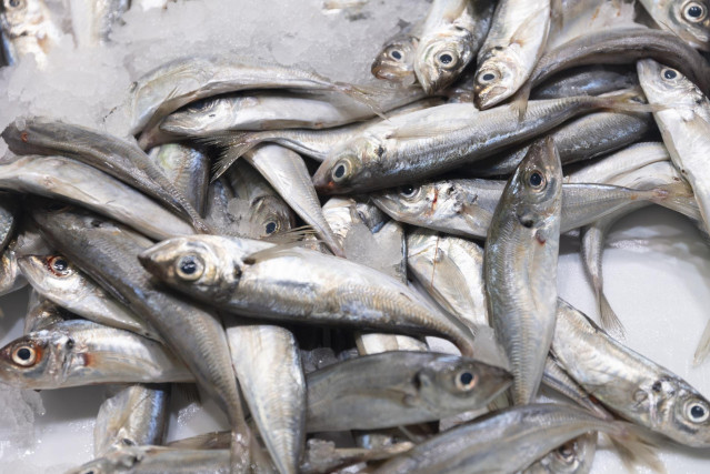 Archivo - Bacaladillas en una pescadería de un mercado.