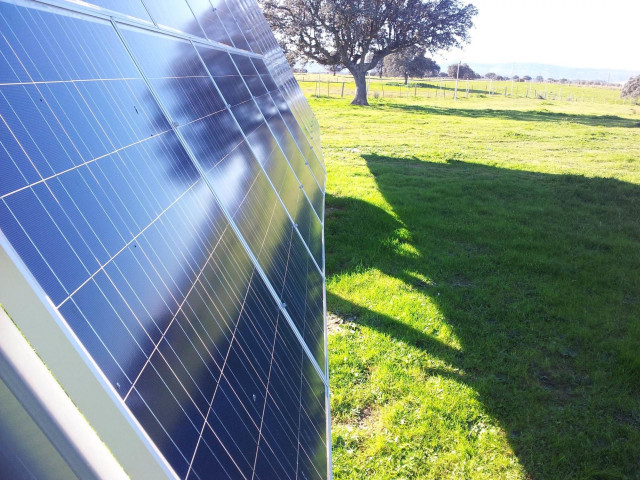 Archivo - Parque solar de Opdenergy.