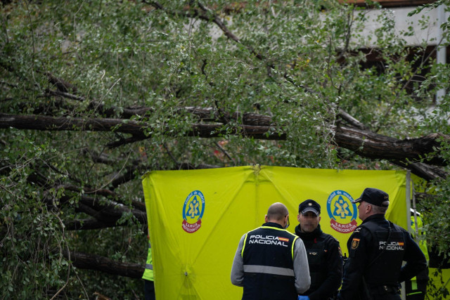 Tres agentes de Policía Nacional junto a una carpa del Samur, al lado del árbol que ha caído sobre un paso de peatones por la borrasca ‘Ciarán