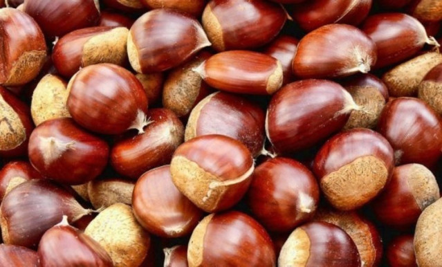 Castañas