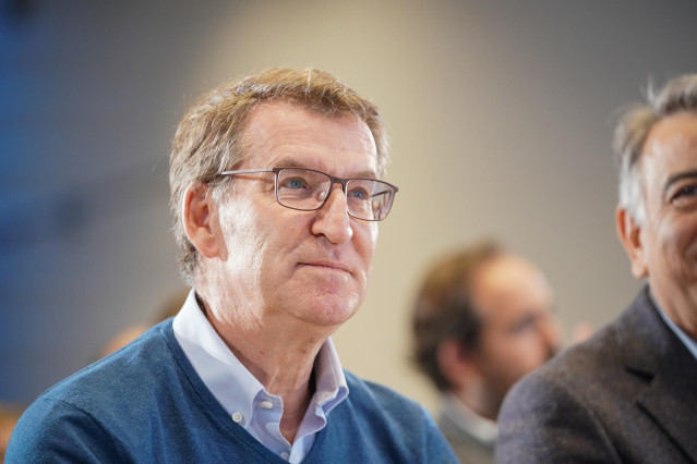 El presidente del Partido Popular, Alberto Núñez Feijóo, durante el congreso territorial extraordinario del PP vasco
