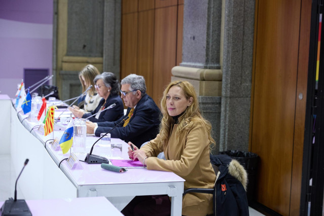 La viceconsejera de Igualdad y Diversidad de Canarias, Cristina Arceo