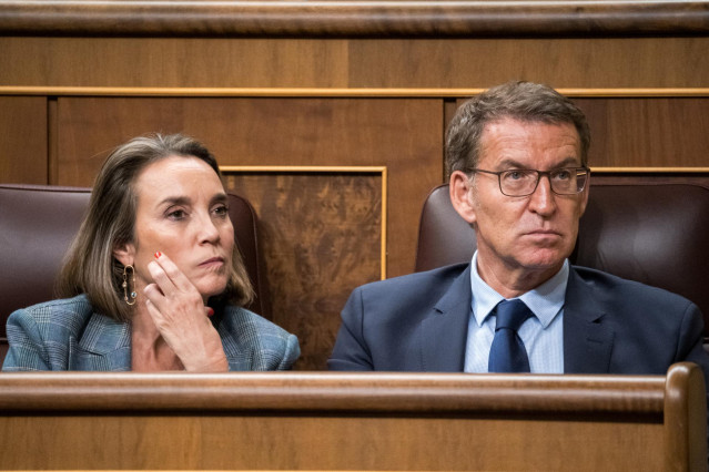 La secretaria general del PP, Cuca Gamarra, y el presidente del Partido Popular, Alberto Núñez Feijóo, durante la primera sesión del debate de investidura de Pedro Sánchez como presidente de Gobierno, en el Congreso de los Diputados, a 15 de noviembre de