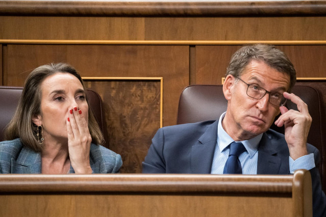 La secretaria general del PP, Cuca Gamarra, y el presidente del Partido Popular, Alberto Núñez Feijóo, durante la primera sesión del debate de investidura de Pedro Sánchez como presidente de Gobierno, en el Congreso de los Diputados, a 15 de noviembre de