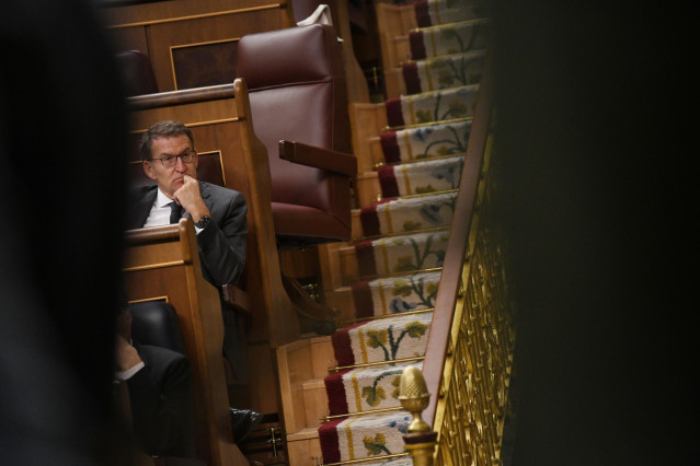 El presidente del PP, Alberto Núñez Feijóo.