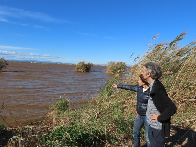 Compromís alerta del color rojizo que presenta el agua de la Albufera y reclama en Medio Ambiente que lo estudie