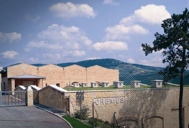 Archivo - Oremus (Vega Sicilia)