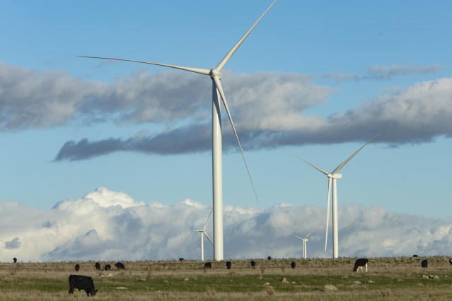 Archivo - Parque eólico de Acciona Energía en Australia.