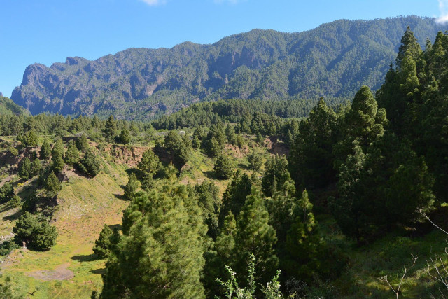 Archivo - ISLA DE LA PALMA