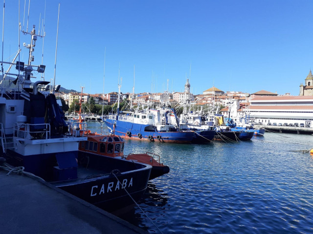 Archivo - Barcos pesqueros en el puerto de Bermeo (Bizkaia)