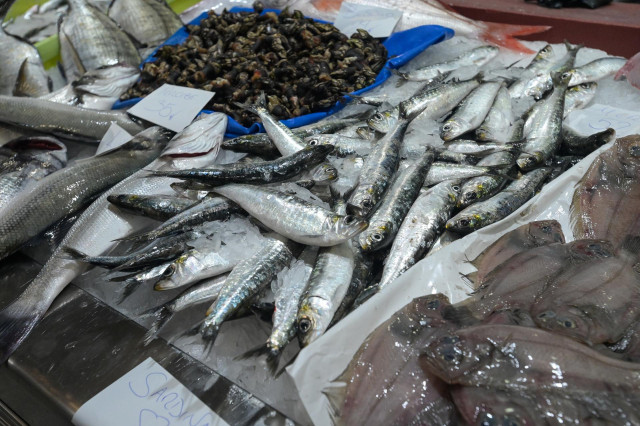 Archivo - Pescado