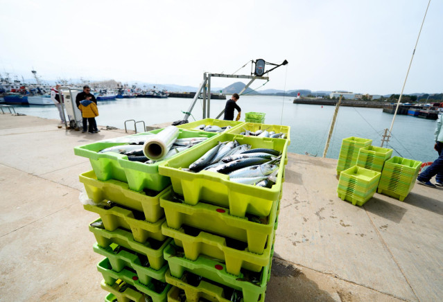 Archivo - Cajas de pescado en el puerto de Santoña, a 25 de marzo de 2022, en Santoña, Cantabria (España). Los pescadores de cerco del Cantábrico han decidido que saldrán a faenar el próximo 28 de marzo, en vista de que «el resto de flotas siguen en la ma