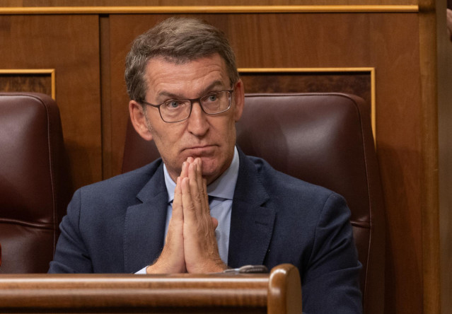 El líder del PP, Alberto Núñez Feijóo, durante una sesión plenaria, en el Congreso de los Diputados, a 12 de diciembre de 2023, en Madrid (España).