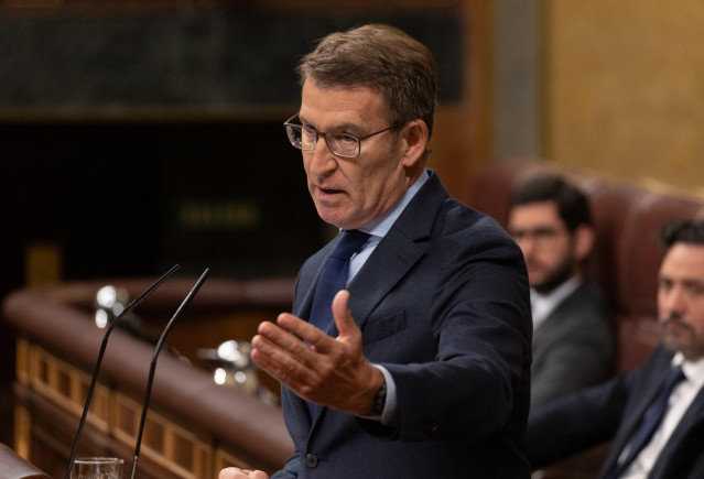 El líder del PP, Alberto Núñez Feijóo, interviene durante una sesión plenaria, en el Congreso de los Diputados, a 12 de diciembre de 2023, en Madrid (España). El Pleno del Congreso acoge hoy el primer debate de la proposición de Ley de Amnistía registrada