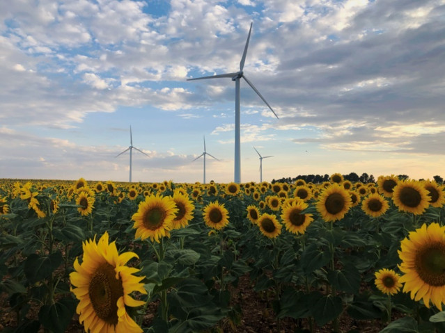 Parque eólico de Iberdrola