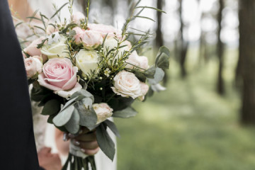 Ramonoviaalairelibre