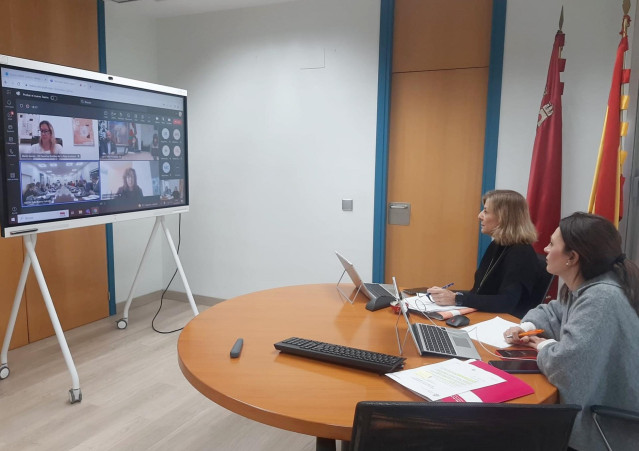 La directora general de Servicios Sociales, Tercer Sector y Gestión de la Diversidad, y la directora general de Familias, Infancia y Conciliación, durante la videoconferencia