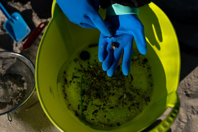 Voluntarios hacen una recogida de pellets de la arena, Galicia, a 7 de enero de 2024, en A Coruña, Galicia (España). Grandes cantidades de pellets de plásticos llevan apareciendo, desde el 13 de diciembre en las Rías Baixas y en la ría de Muros de Noia en