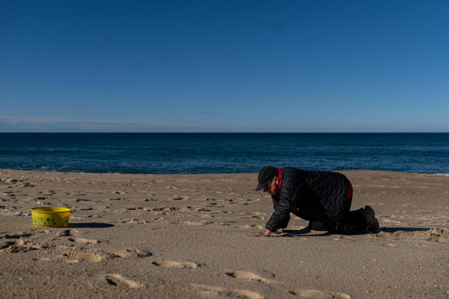 Voluntarios hacen una recogida de pellets de la arena, Galicia, a 7 de enero de 2024, en A Coruña, Galicia (España). Grandes cantidades de pellets de plásticos llevan apareciendo, desde el 13 de diciembre en las Rías Baixas y en la ría de Muros de Noia en
