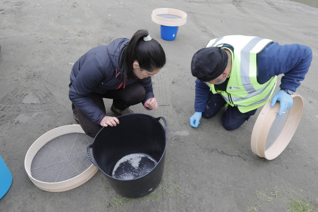 Archivo - Operarios de TRAGSA recogen pellets de plástico, en la playa Otur, a 9 de enero de 2024, en Valdés, Asturias (España). El Principado de Asturias ha activado el nivel dos de emergencia por el vertido de pellets de plástico en las playas de la reg