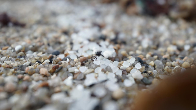 Archivo - Pellets de plástico en la playa de Sabón, a 9 de enero de 2024, en A Coruña, Galicia (España).  Voluntarios se han organizado hoy para limpiar algunas playas de las provincias de A Coruña y Pontevedra a las que ha llegado el vertido de los pelle