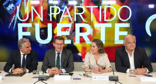El líder del PP, Alberto Nuñez Feijóo, preside la reunión del Comité Ejecutivo Nacional del PP en Madrid.