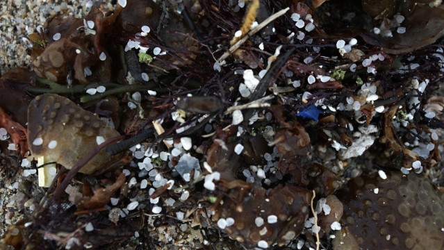 Pellets de plástico en una playa