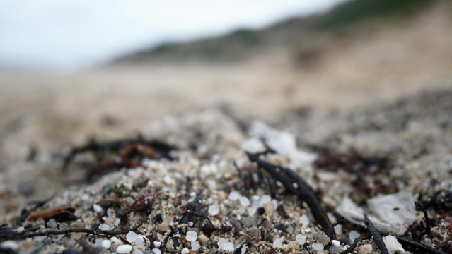 Archivo - Pellets de plástico en la playa de Sabón, a 9 de enero de 2024, en A Coruña, Galicia (España).