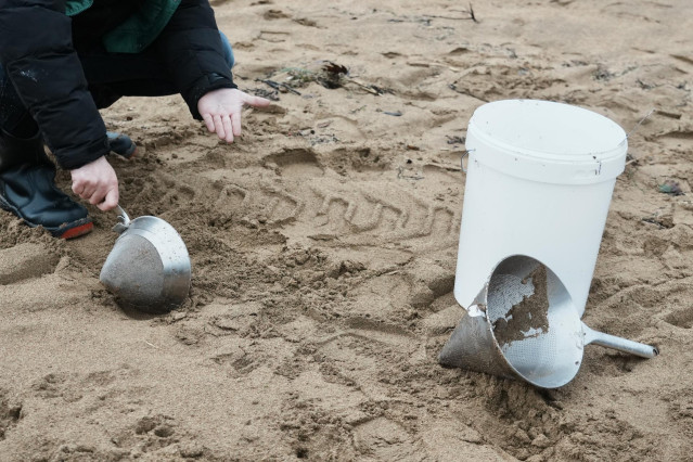 Archivo - Una persona recoge pellets en la playa