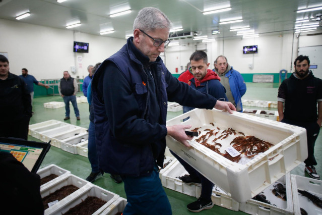 Venta de gamba en la lonja de Burela, a 19 de diciembre de 2023, en Burela, Lugo, Galicia (España). La Organización de Consumidores y Usuarios (OCU) recoge los precios de los productos más demandados en Navidad, que como cada año suben cuando se acercan l