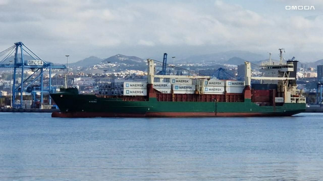 Archivo - El OMODA 5 llega a Europa