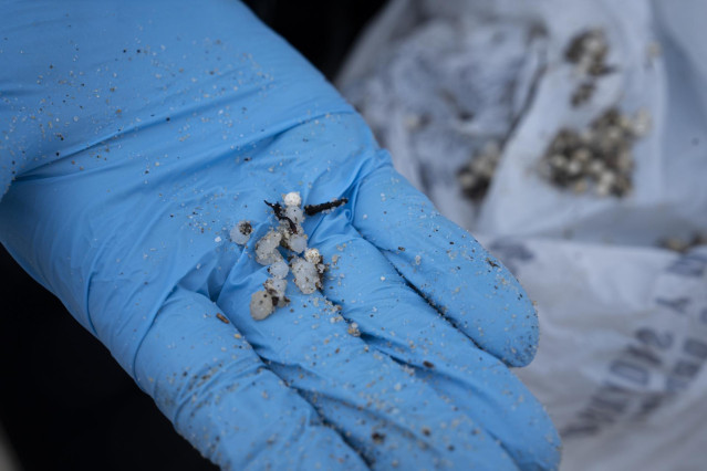 Un voluntario recoge pellets.