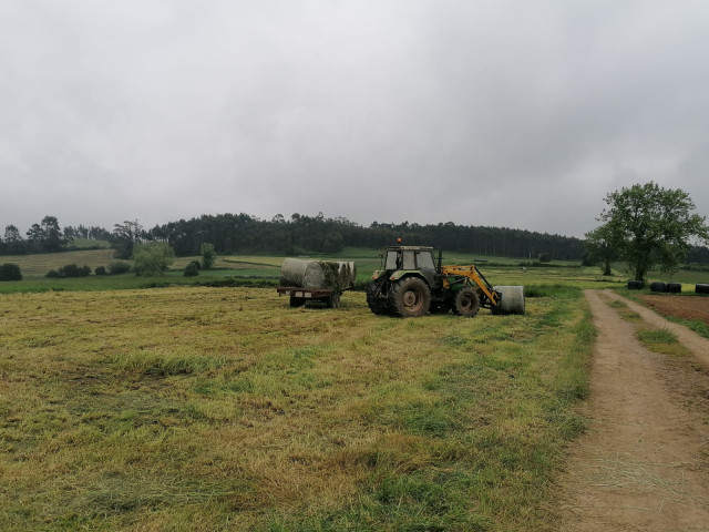 Archivo - Trabajos en el campo